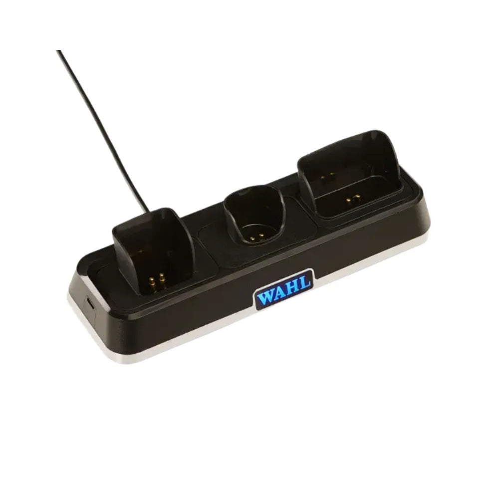 WAHL POWER STATION | 3023291 - Image 2